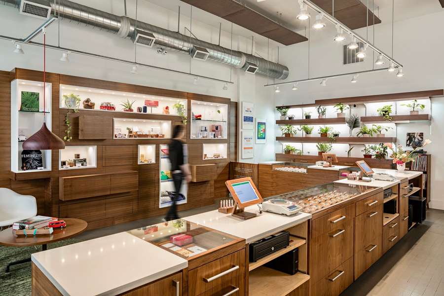 Why Visit a Cannabis Dispensary and Amazing Things to Do After